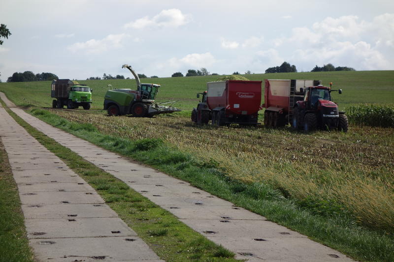 bilder/14_8_2002/fendt_716_4.jpg