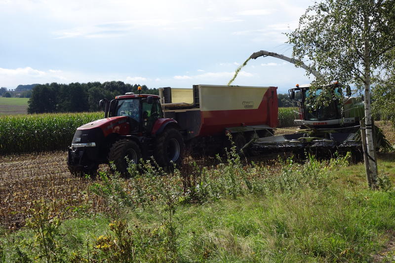 bilder/18_9_2015/DSC02557.jpg