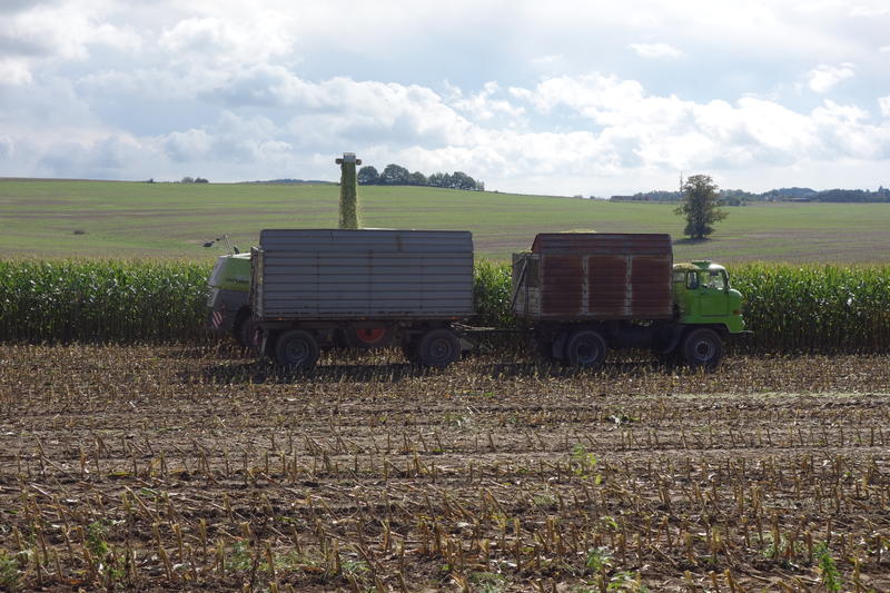 DSC02584.jpg