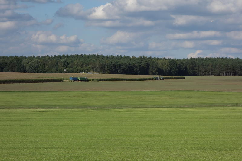 DSC02635.jpg