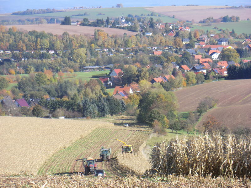 bilder/19_10_2013/CIMG0348.jpg