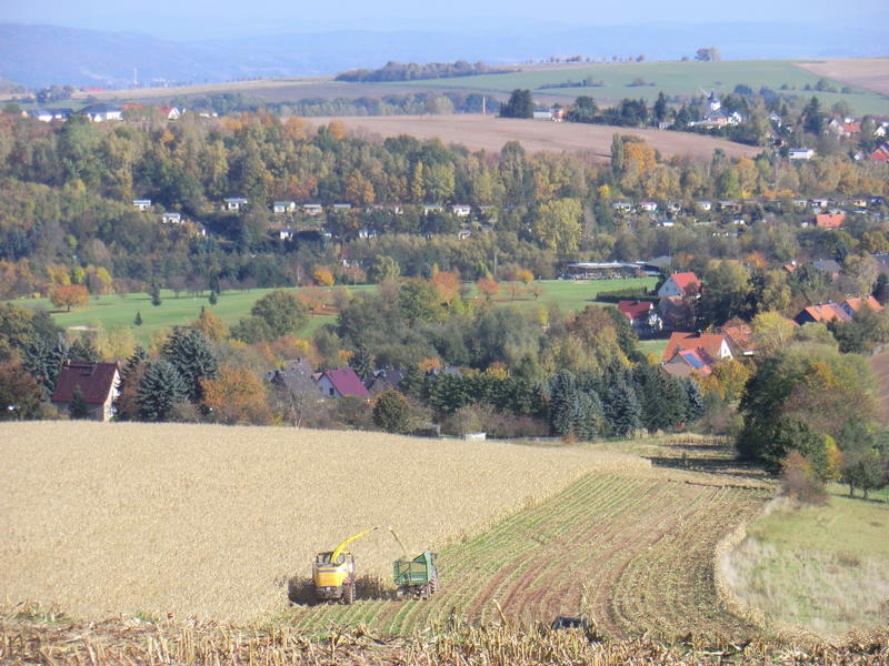 bilder/19_10_2013/CIMG0355.jpg
