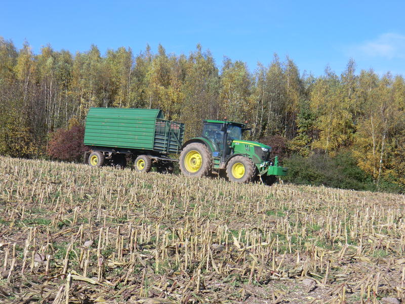 bilder/19_10_2013/CIMG0356.jpg