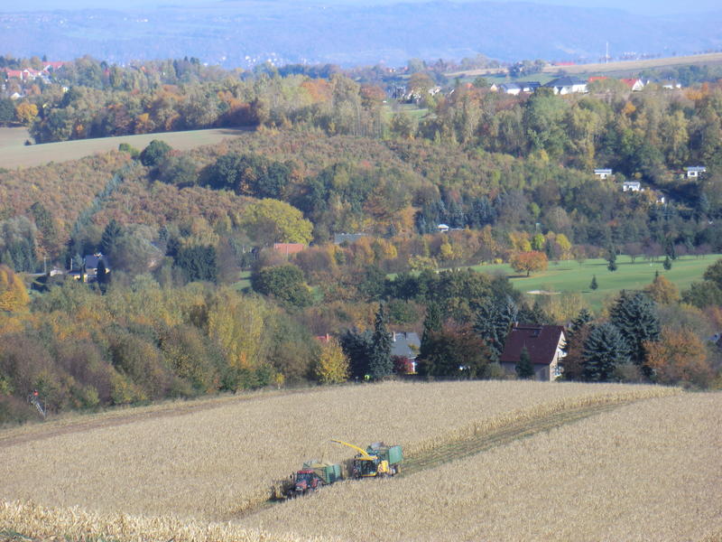 CIMG0363.jpg