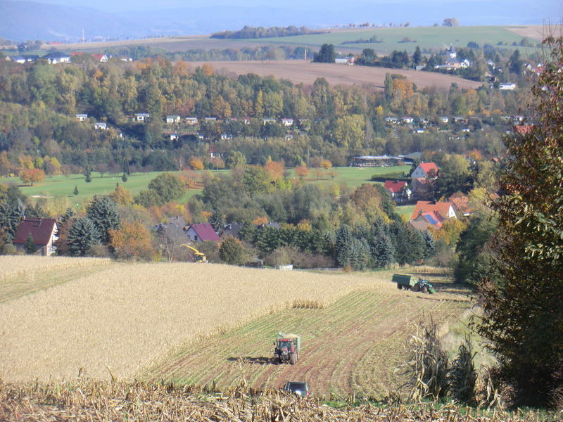 CIMG0365.jpg