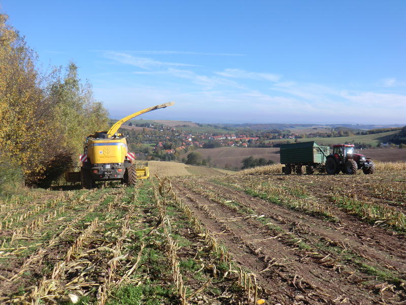 bilder/19_10_2013/CIMG0375.jpg