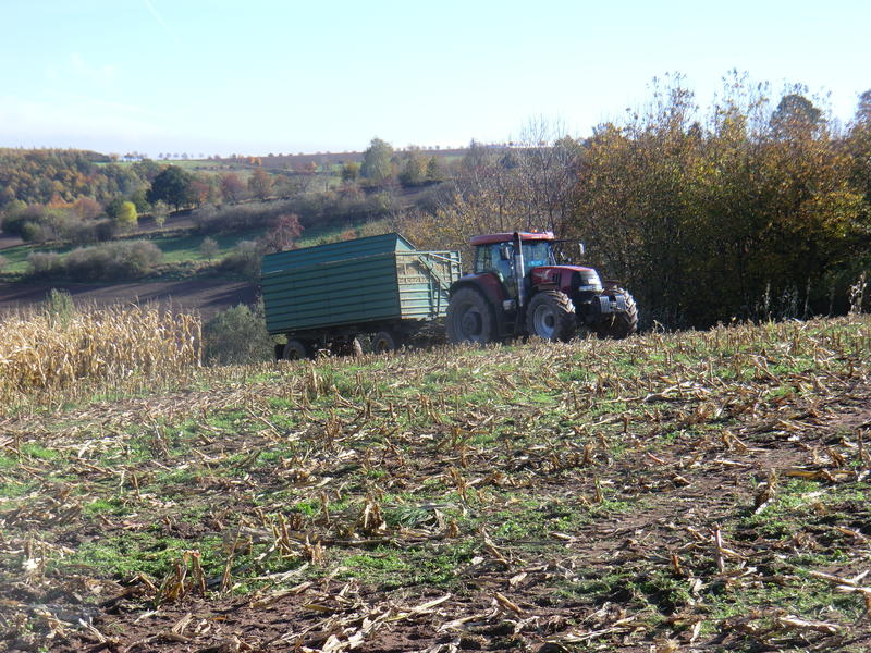 bilder/19_10_2013/CIMG0379.jpg