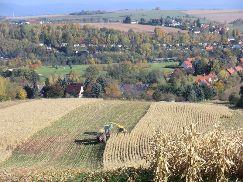 CIMG0382.jpg