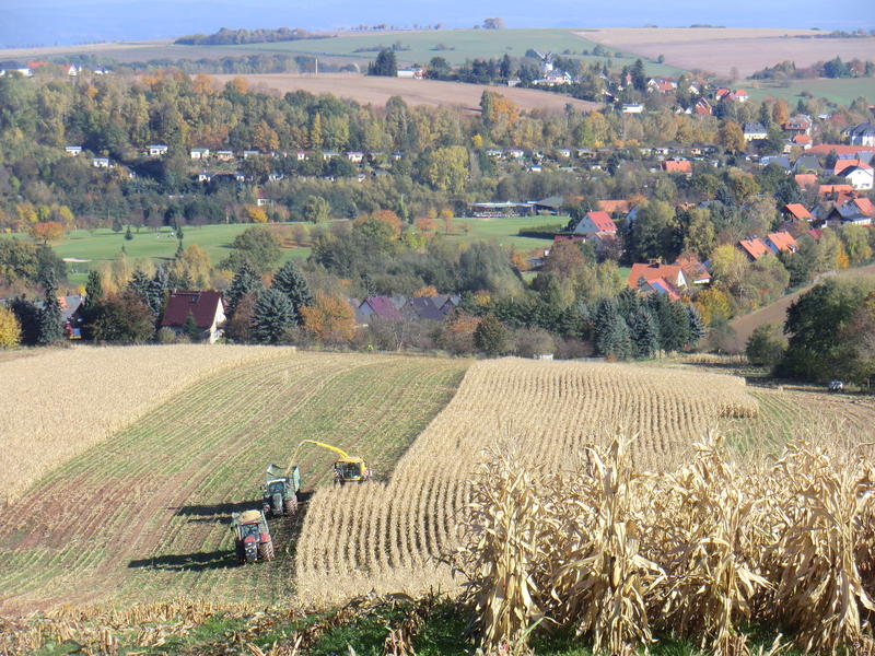 CIMG0383.jpg