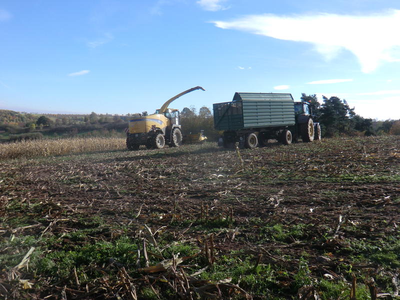 bilder/19_10_2013/CIMG0394.jpg