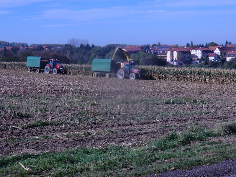 bilder/19_10_2014/CIMG8385.jpg