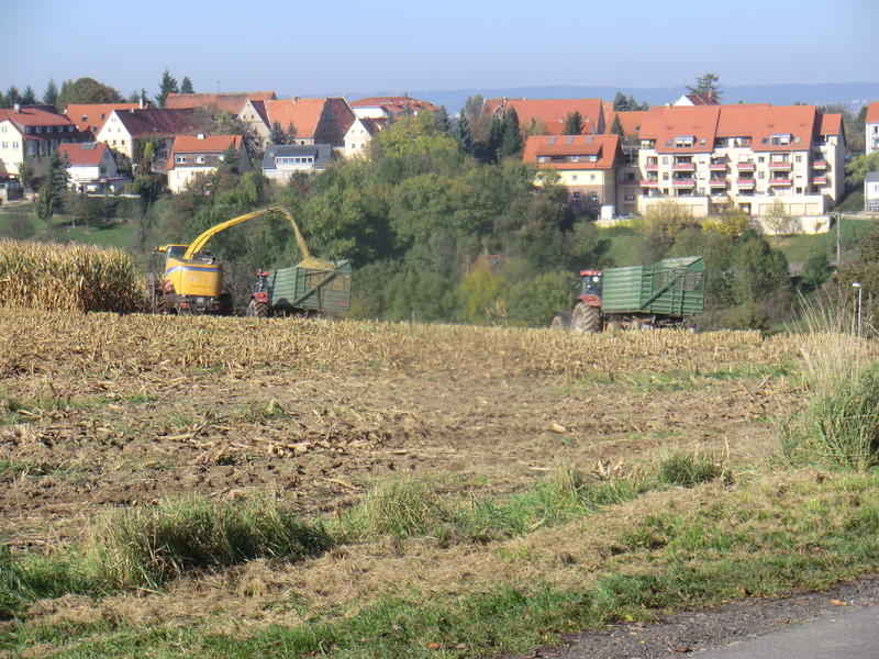 bilder/19_10_2014/CIMG8394.jpg