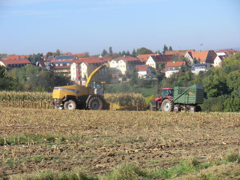 CIMG8401.jpg