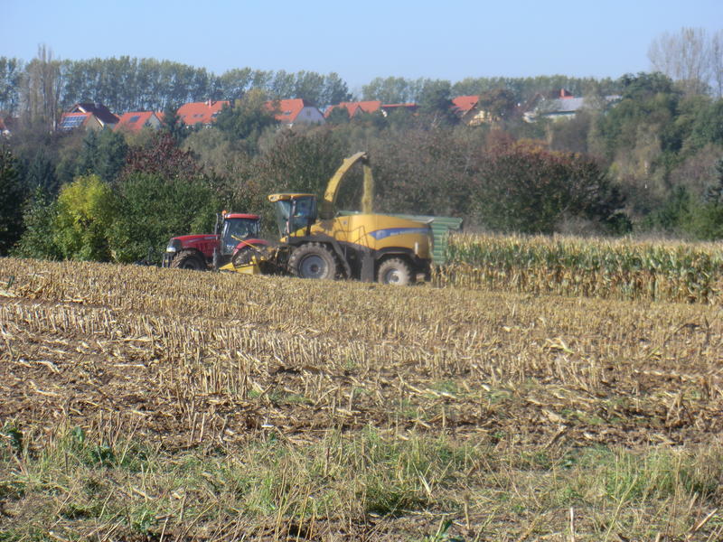 bilder/19_10_2014/CIMG8402.jpg