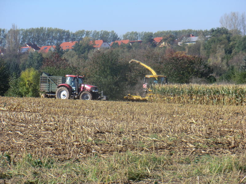 bilder/11_10_2010/IMGP3360.jpg