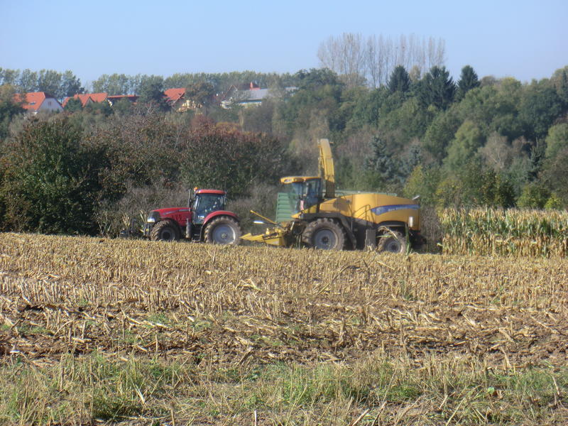 CIMG8405.jpg