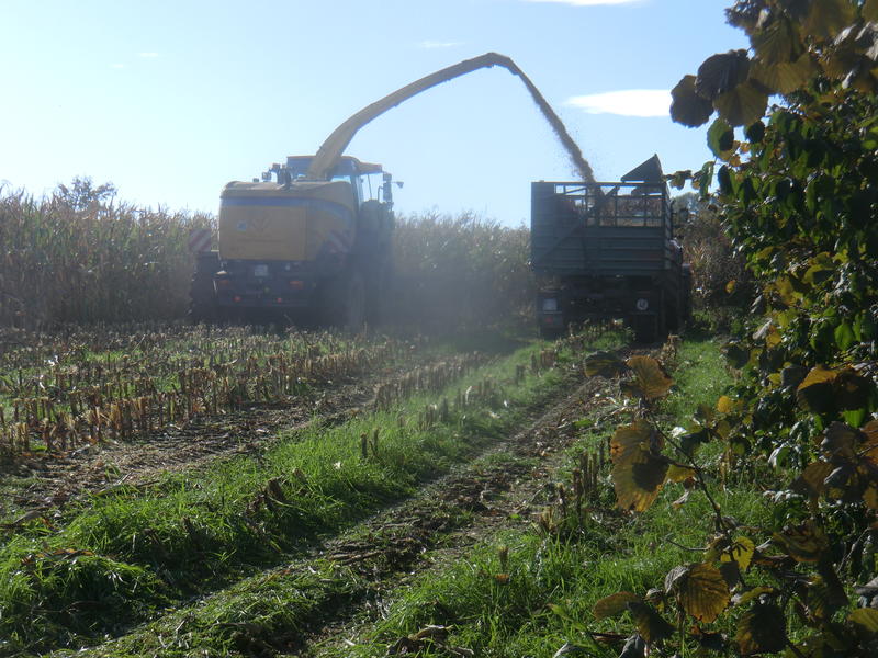 bilder/19_10_2014/CIMG8410.jpg