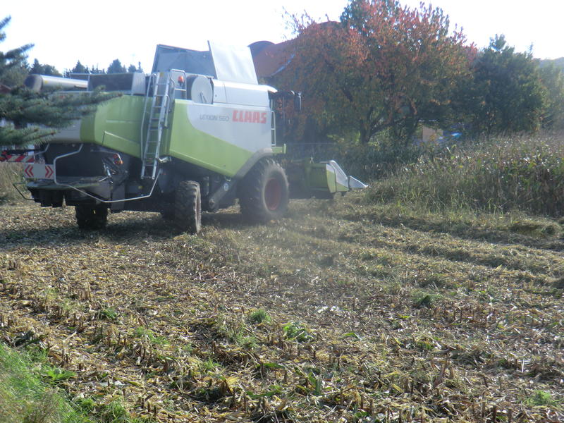 bilder/19_10_2014_2/CIMG8426.jpg