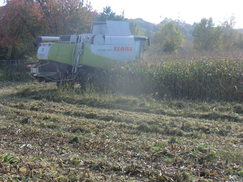 bilder/19_10_2014_2/CIMG8427.jpg