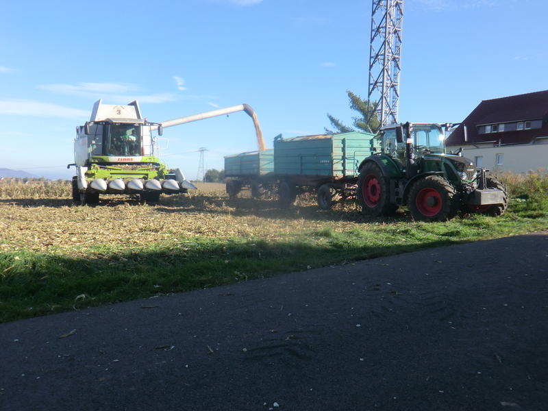 bilder/19_10_2014_2/CIMG8429.jpg