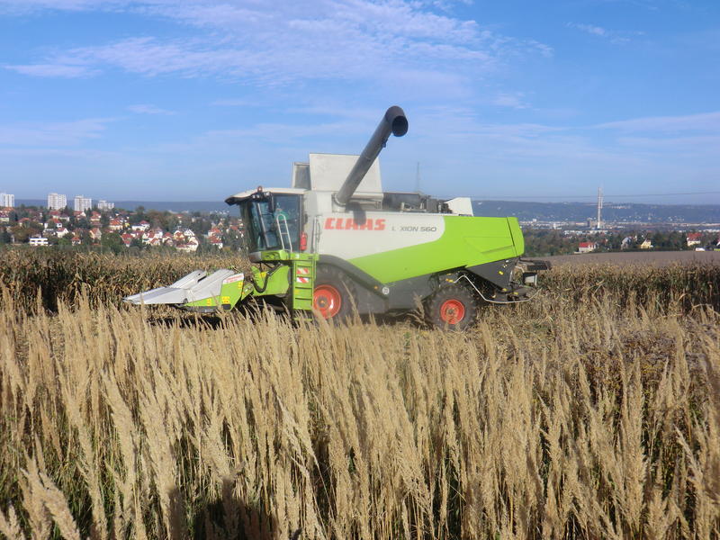 bilder/19_10_2014_2/CIMG8435.jpg