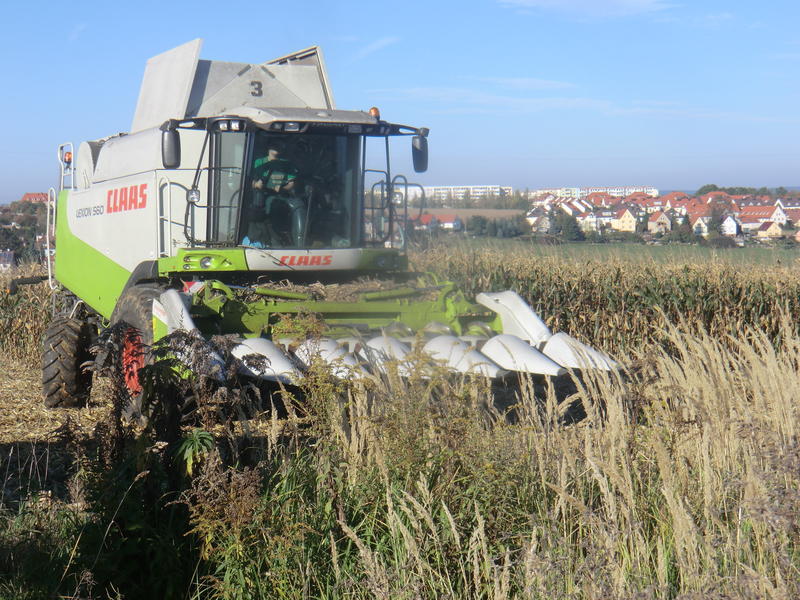 bilder/6_9_2005/xerion_6.jpg