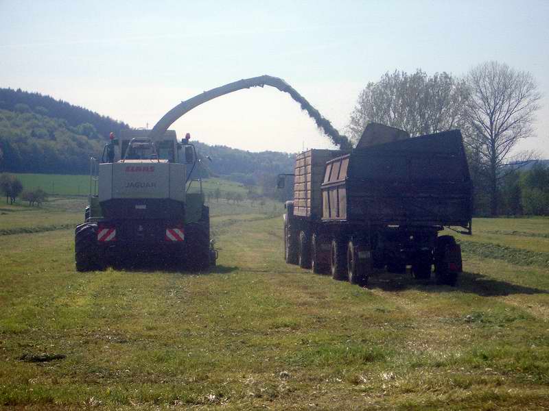 bilder/19_5_2005/jaguar_fendt_514_3.jpg