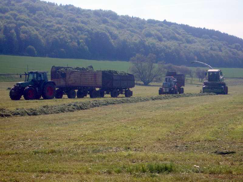 jaguar_fendt_514_zt_303.jpg