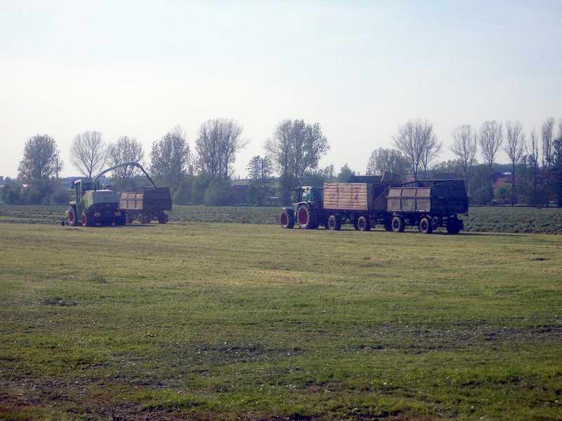 jaguar_fendt_514_zt_303_2.jpg