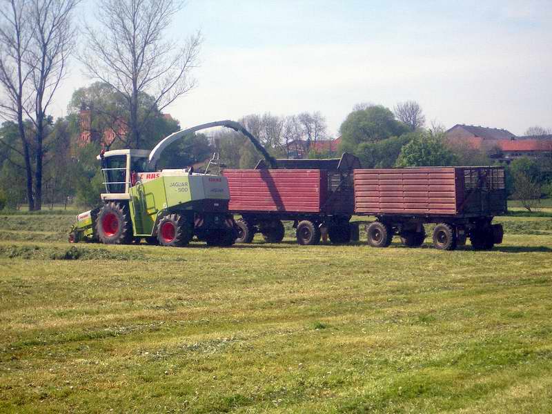 jaguar_fendt_824_3.jpg