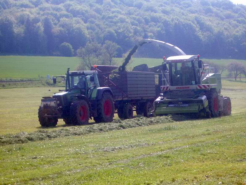 jaguar_fendt_824_4.jpg