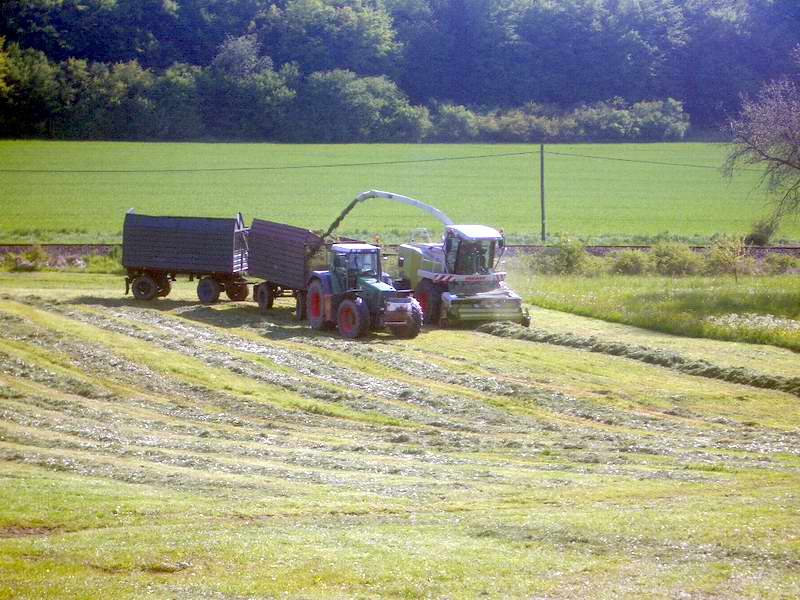 jaguar_fendt_824_7.jpg