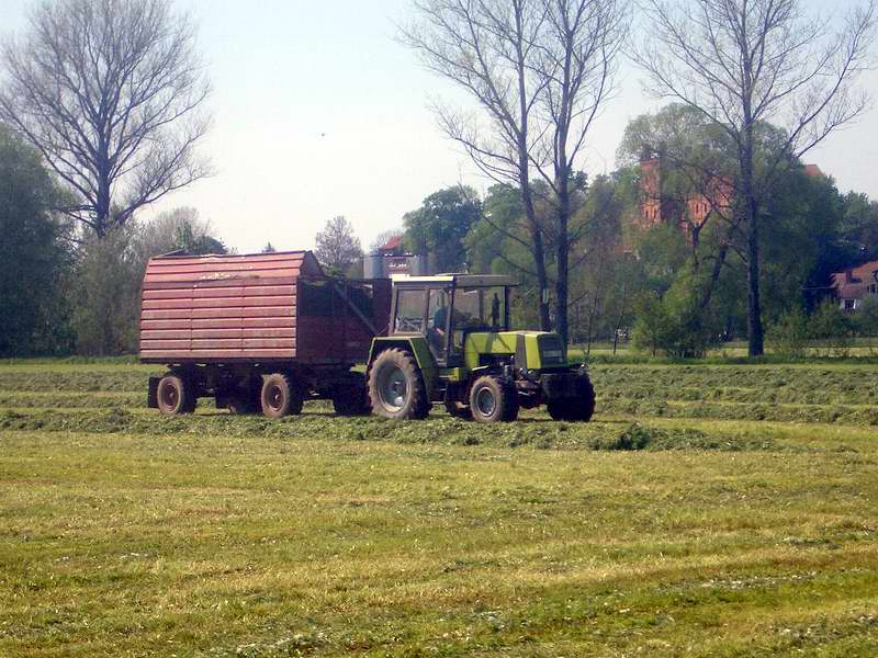 zt_323.jpg