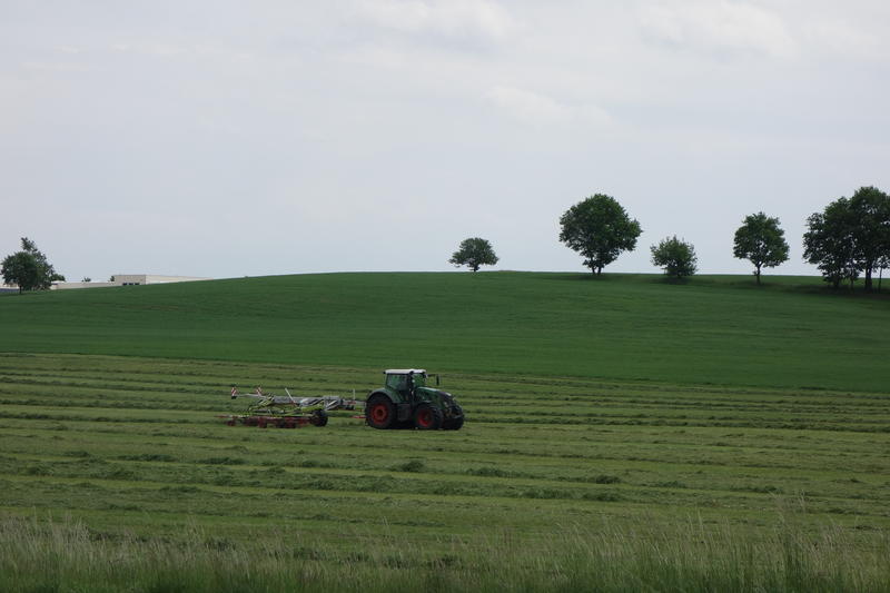 bilder/7_7_2014/CIMG7164.jpg