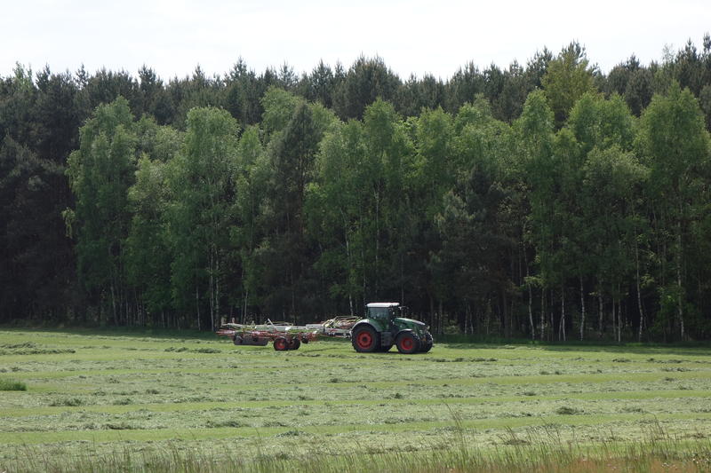 bilder/2_6_2014/CIMG2822.jpg