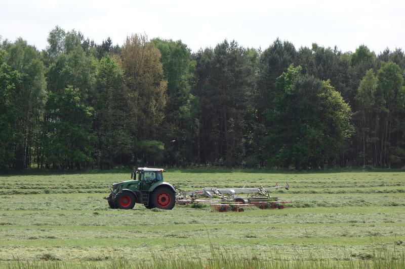 bilder/19_5_2015/DSC01081.jpg