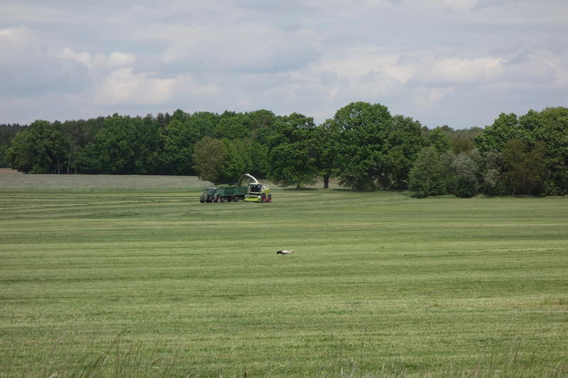 bilder/19_5_2015/DSC01083.jpg