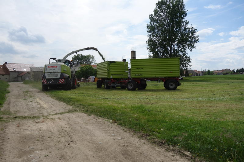 bilder/19_5_2015/DSC01089.jpg