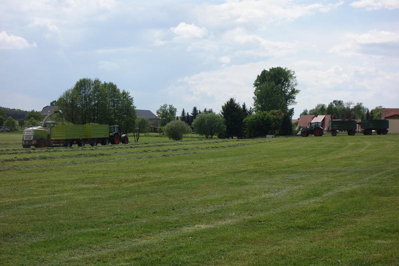 DSC01111.jpg