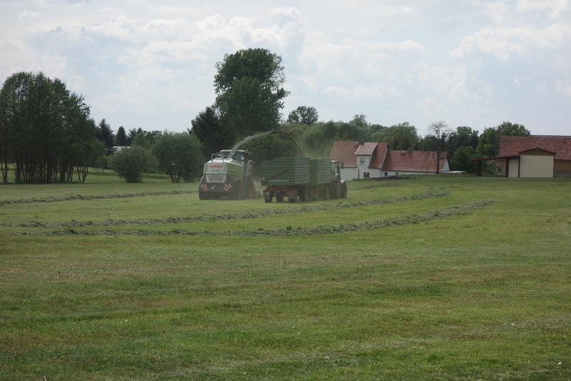 DSC01123.jpg