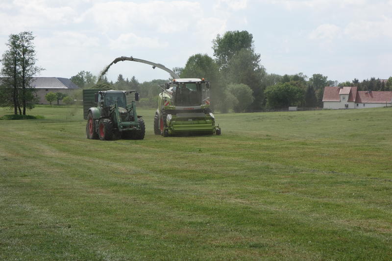 bilder/5_7_2002_2/jaguar_900_+_fendt_514_5.jpg