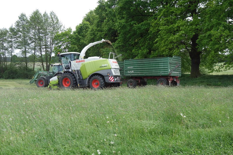 bilder/19_5_2015/DSC01134.jpg