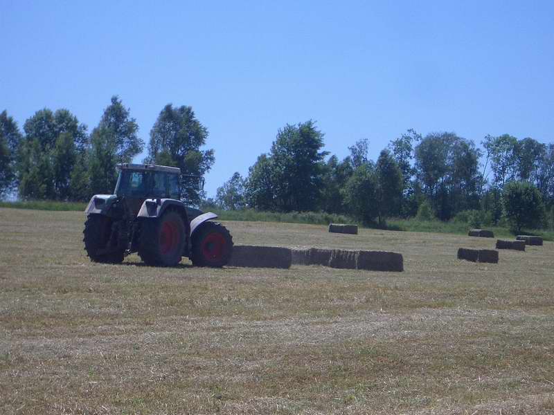 fendt_824_5.jpg