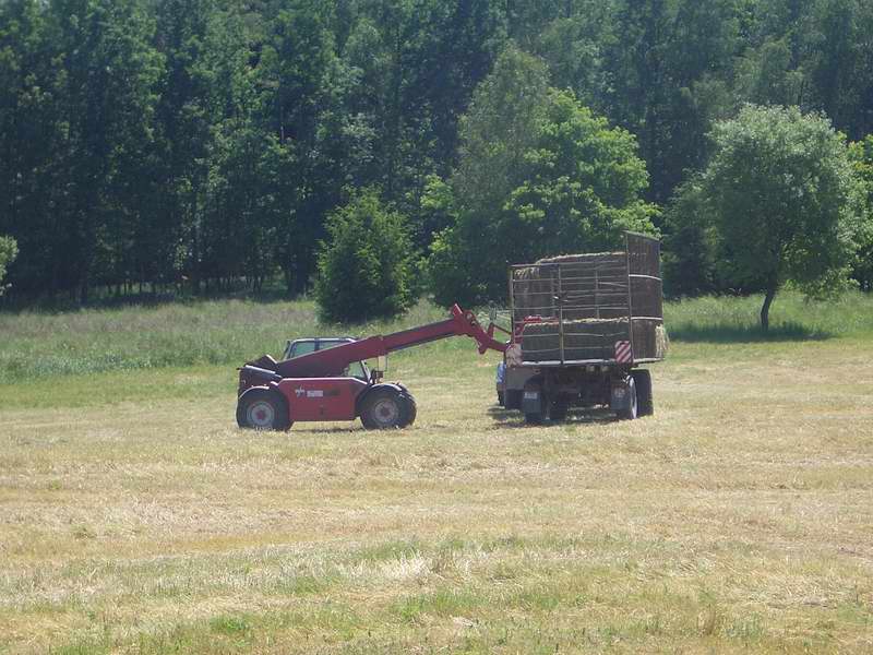 zt_303_weidemann_5.jpg