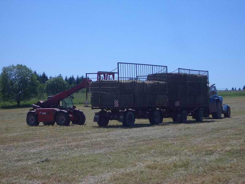 zt_303_weidemann_8.jpg