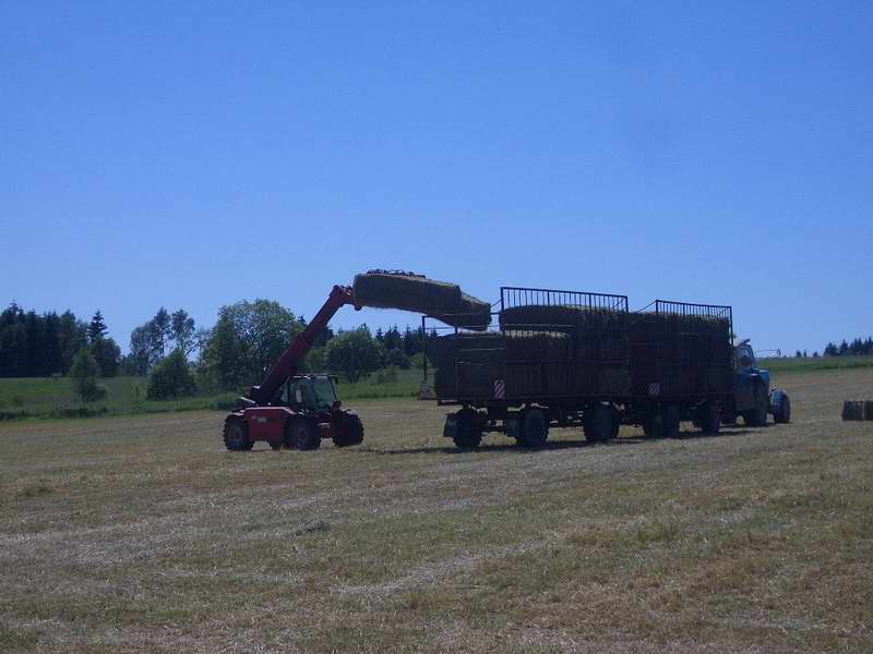 zt_303_weidemann_9.jpg
