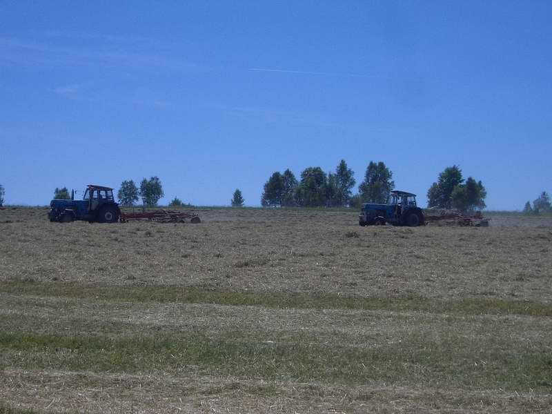 zt_303_zt_300.jpg