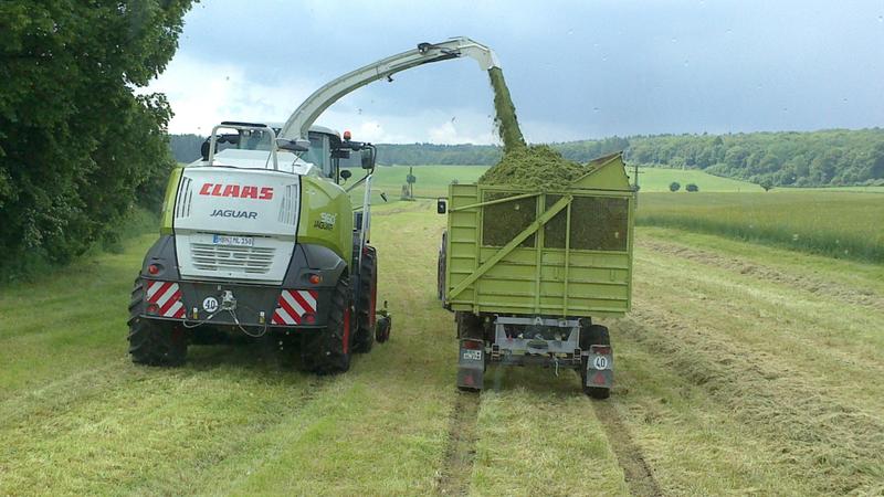 bilder/19_6_2013/schrank002_n.jpg