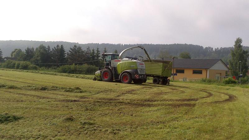 bilder/3_9_2011/CIMG4645.jpg