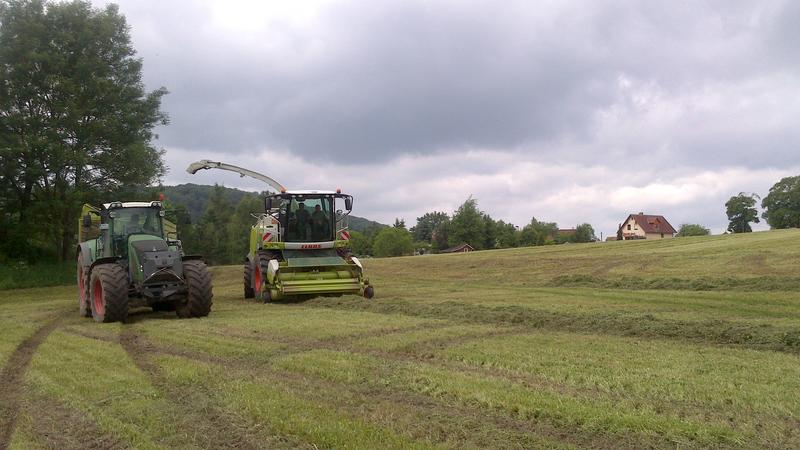 bilder/19_6_2013/schrank024_n.jpg